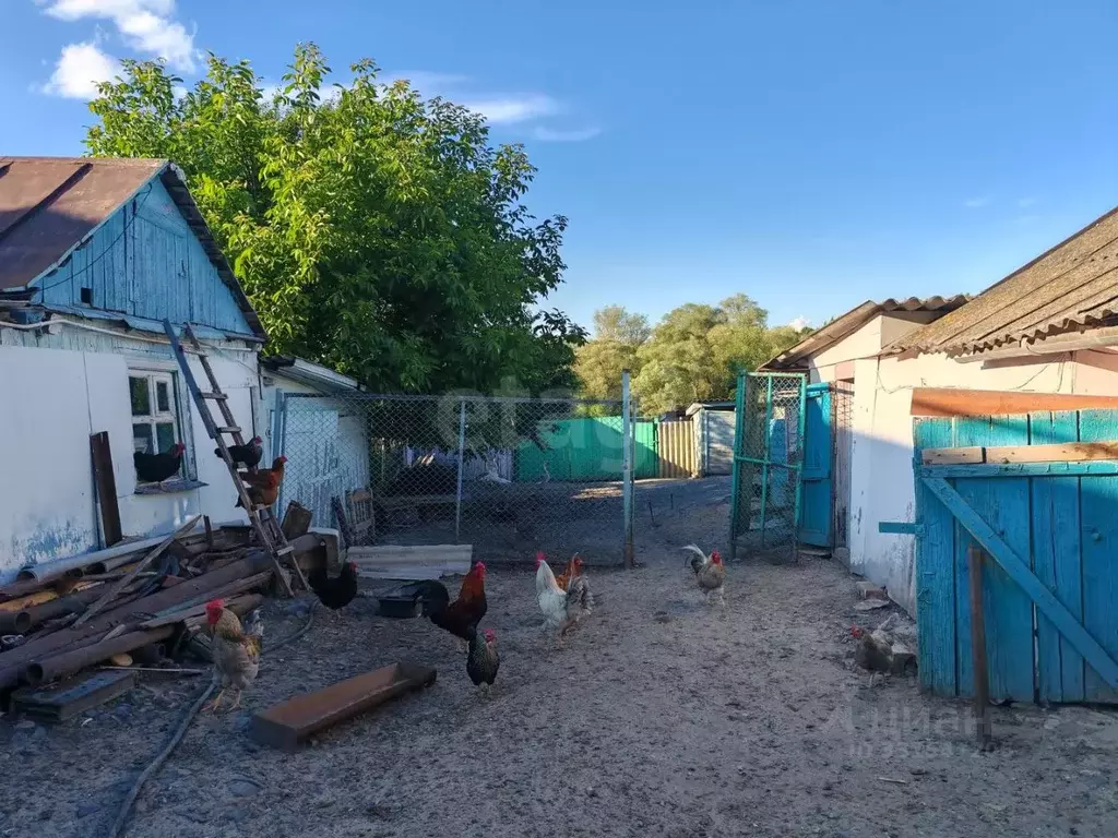 Дом в Белгородская область, Вейделевка рп ул. Советская, 93 (59 м) - Фото 2
