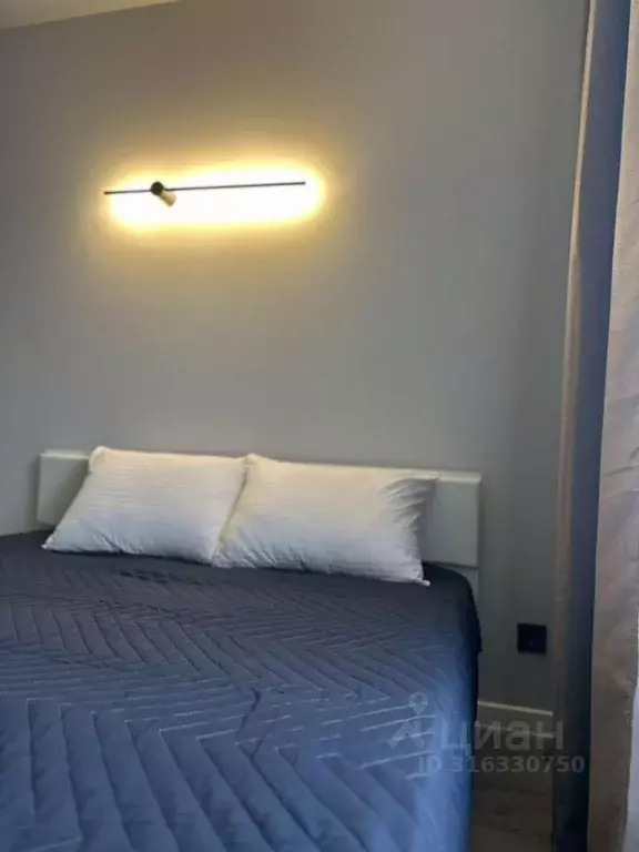 1-к кв. Алтайский край, Барнаул Трудовой пер., 28А (27.0 м) - Фото 1