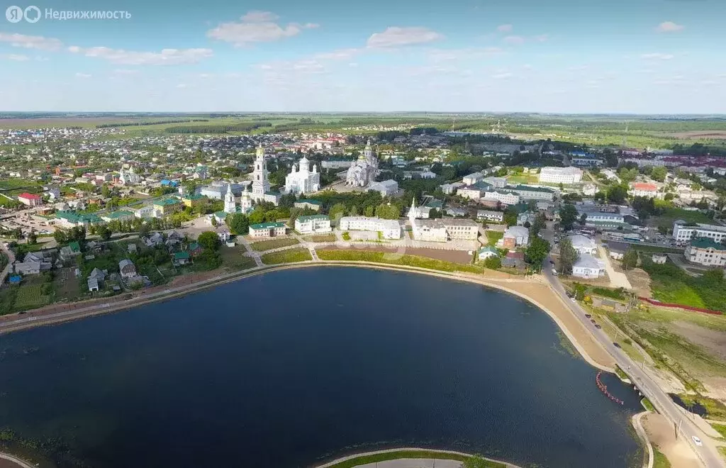 Участок в Нижегородская область, село Дивеево (250 м) - Фото 0