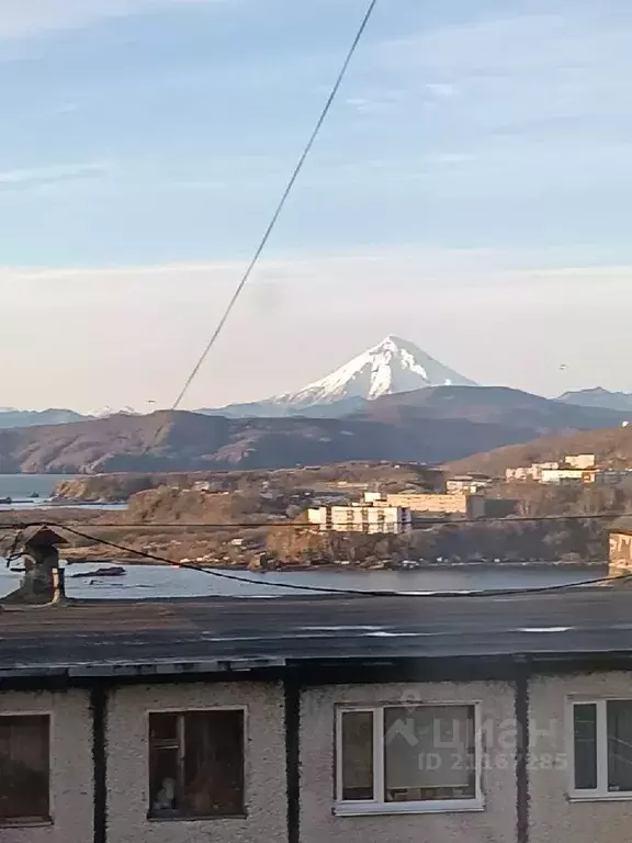 2-к кв. Камчатский край, Петропавловск-Камчатский ул. Труда, 43 (44.6 ... - Фото 0