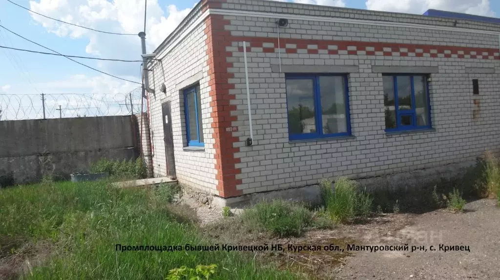 Производственное помещение в Курская область, Мантуровский район, ... - Фото 2