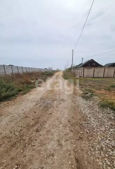 Участок в Крым, Сакский район, Молочненское с/пос, с. Витино  (6.0 ... - Фото 1