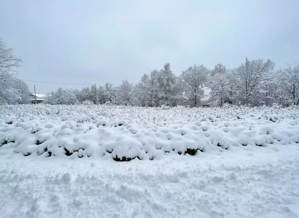Участок в Камчатский край, Елизовский муниципальный округ, Вулканный ... - Фото 2