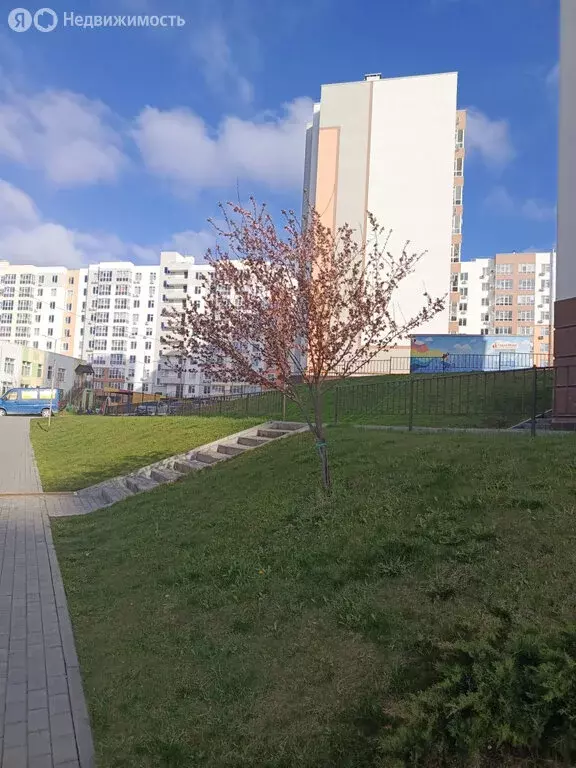 Офис (66.57 м) - Фото 1