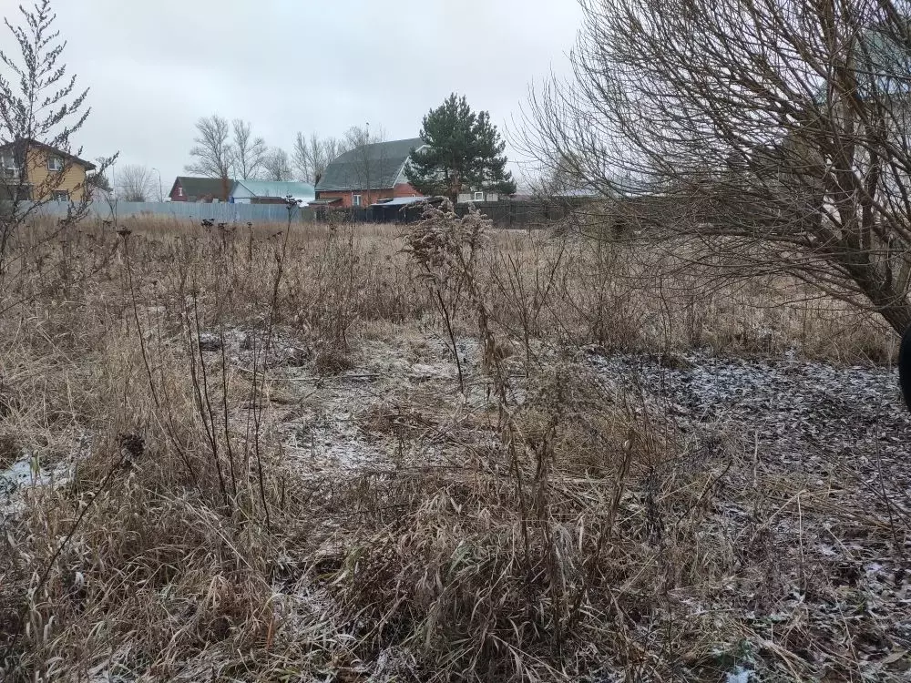 Участок в Московская область, Серпухов городской округ, д. Дракино  ... - Фото 0