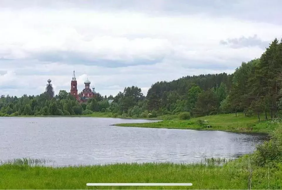 Участок в Тверская область, Пеновский муниципальный округ, д. Синцово  ... - Фото 1