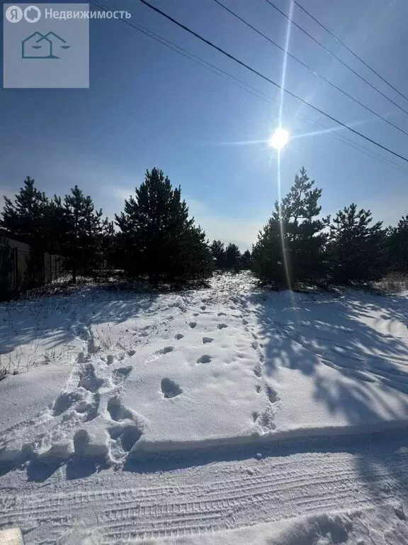 Участок в село Староживотинное, улица Санникова (6 м) - Фото 1