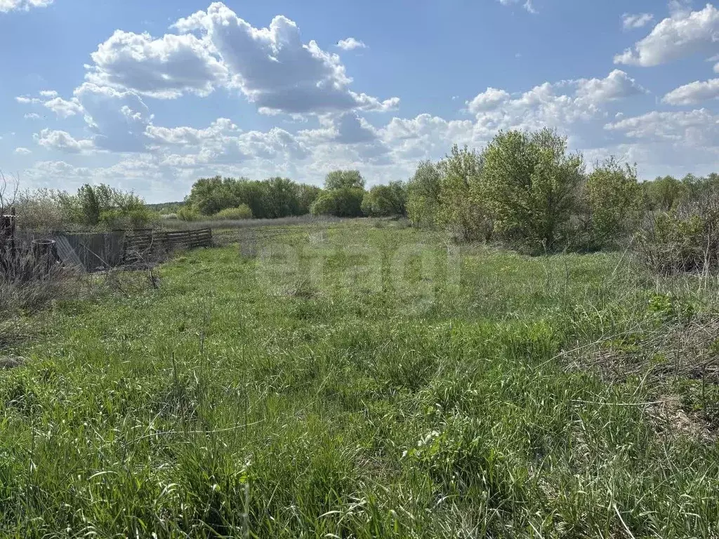 Участок в Саратовская область, Балашовский район, с. Большой Мелик ... - Фото 1