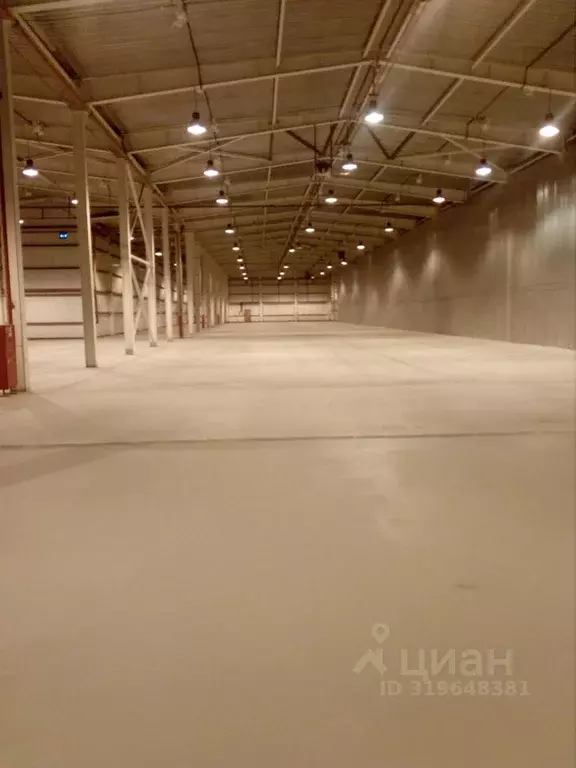 Склад в Московская область, Балашиха Кучино мкр, ул. Гидрогородок, ... - Фото 1