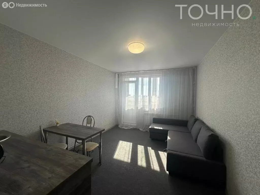 Квартира-студия: село Засечное, Фонтанная улица, 11 (28 м) - Фото 1