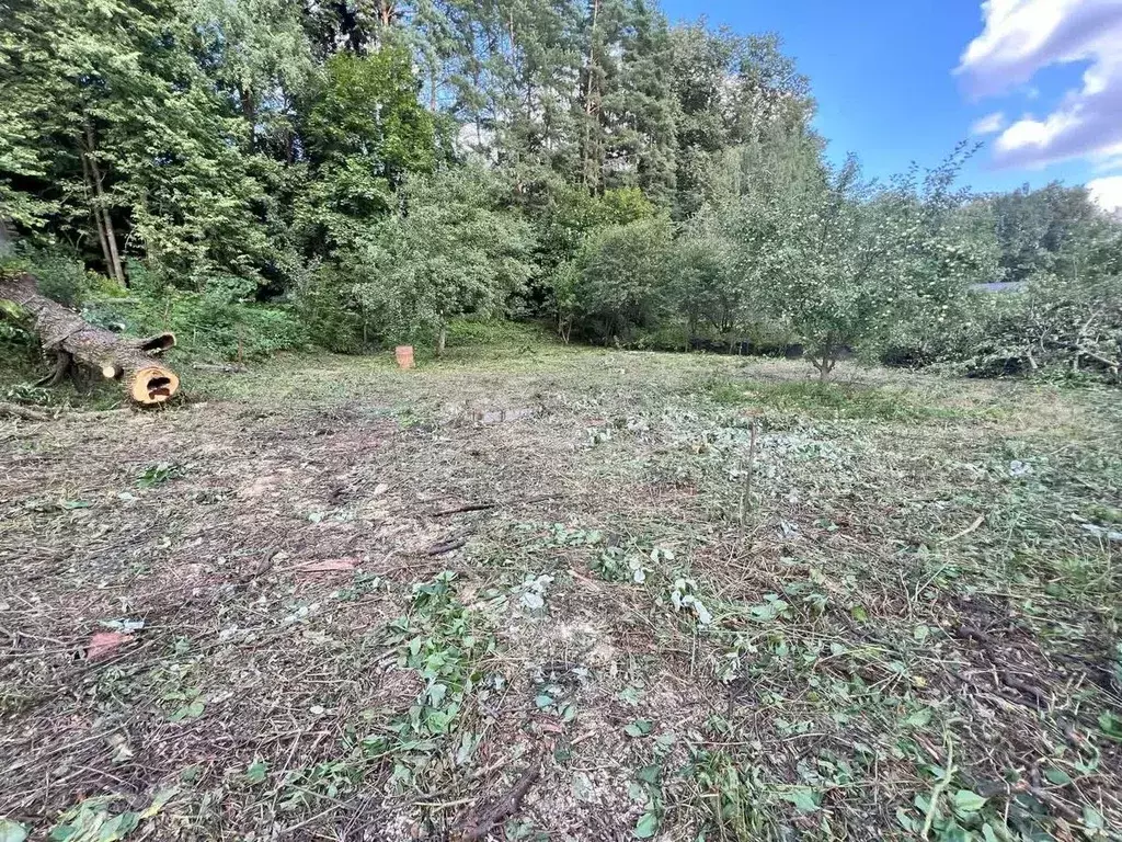 Участок в Москва д. Лапшинка, 135 (6.58 сот.) - Фото 2