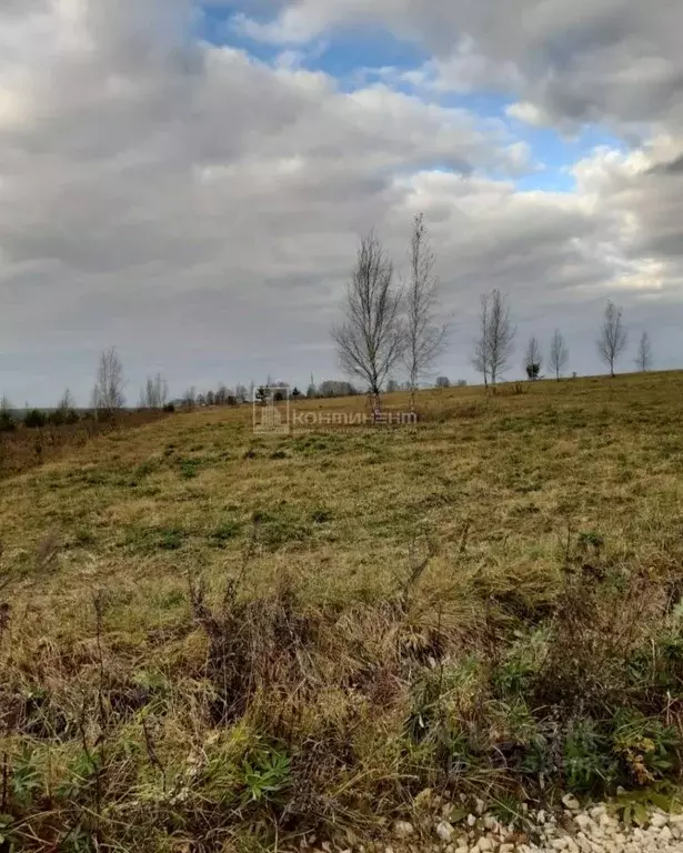 Участок в Владимирская область, Ковровский район, Новосельское с/пос, ... - Фото 2