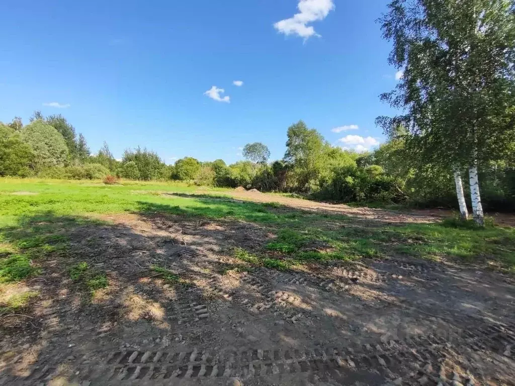 Участок в Псковская область, Псковский муниципальный округ, Ершовская ... - Фото 1