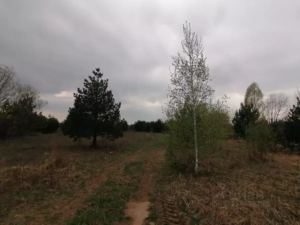 Участок в Нижегородская область, Выкса городской округ, с. Борковка  ... - Фото 1