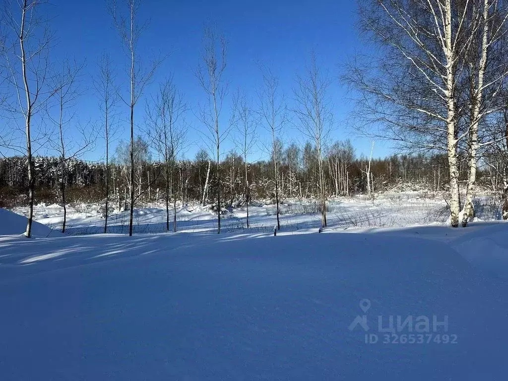 Участок в Московская область, Богородский городской округ, с. ... - Фото 1