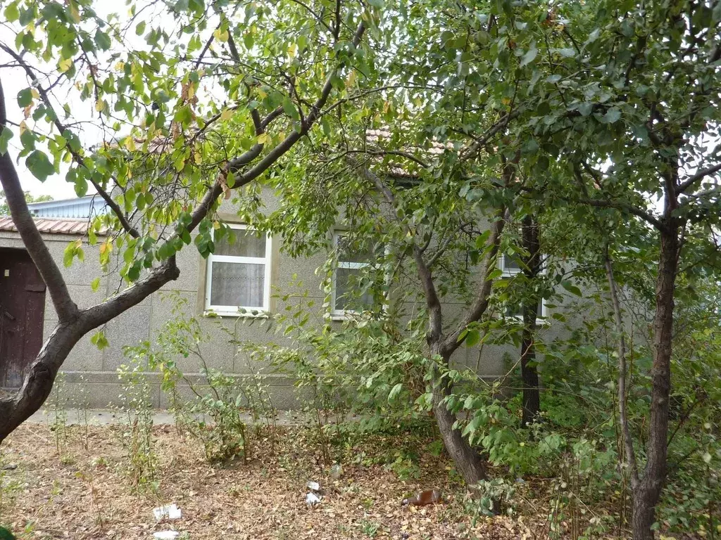 Дом в Ставропольский край, Светлоград г. Петровский муниципальный ... - Фото 2