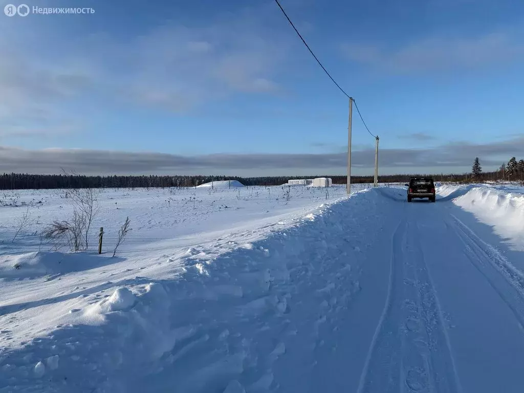 Участок в Владимирская область, Александровский муниципальный округ, ... - Фото 2