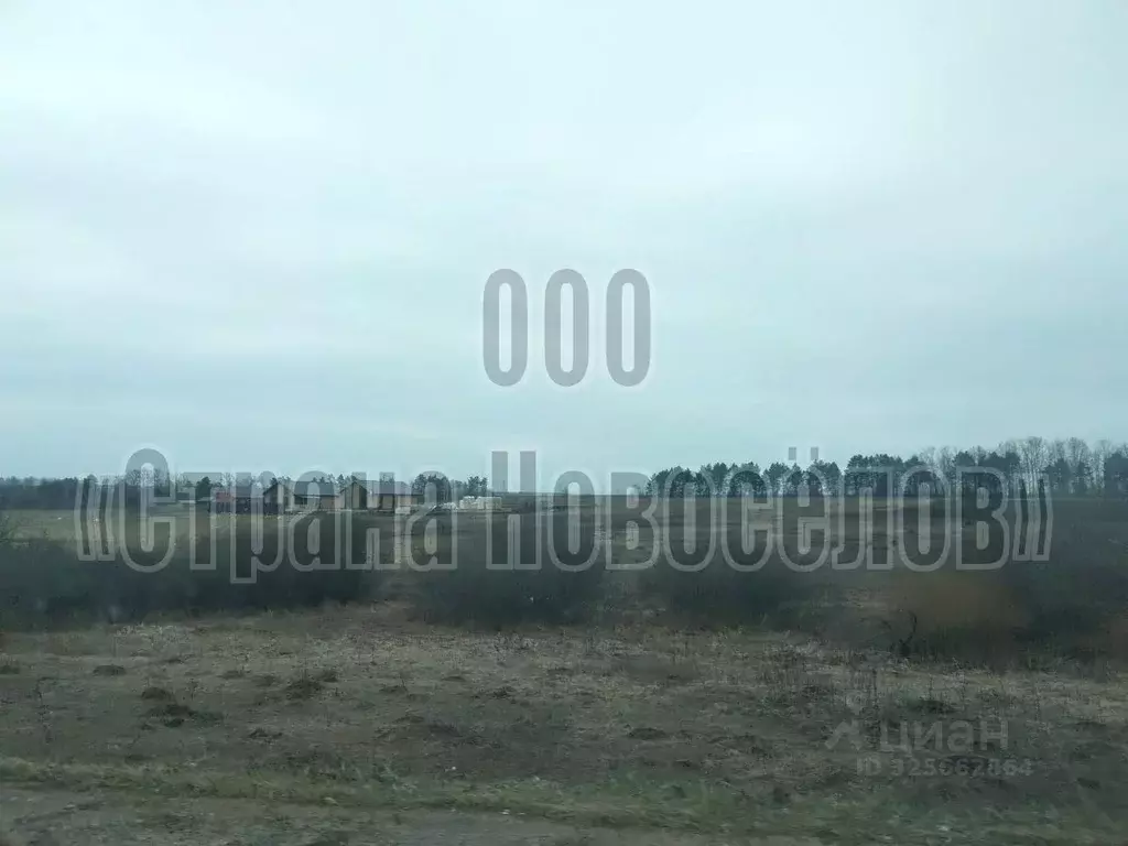 Участок в Мордовия, Лямбирский район, Пензятское с/пос, с. Пензятка ... - Фото 2