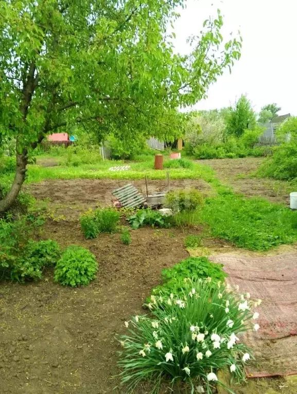 Дом в Башкортостан, Иглинский район, Акбердинский сельсовет, Ромашка ... - Фото 1