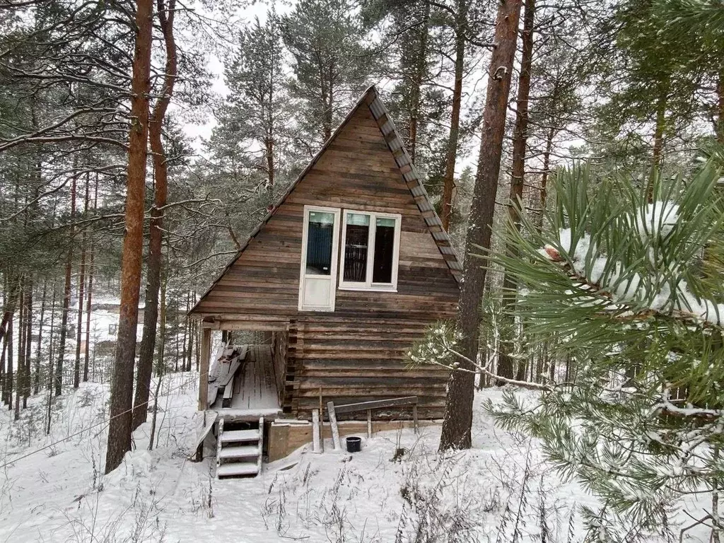 Дом в Ленинградская область, Лужский район, Толмачево городской ... - Фото 1