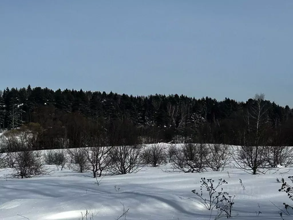 Участок в Московская область, Ступино городской округ, д. Шелково  ... - Фото 2