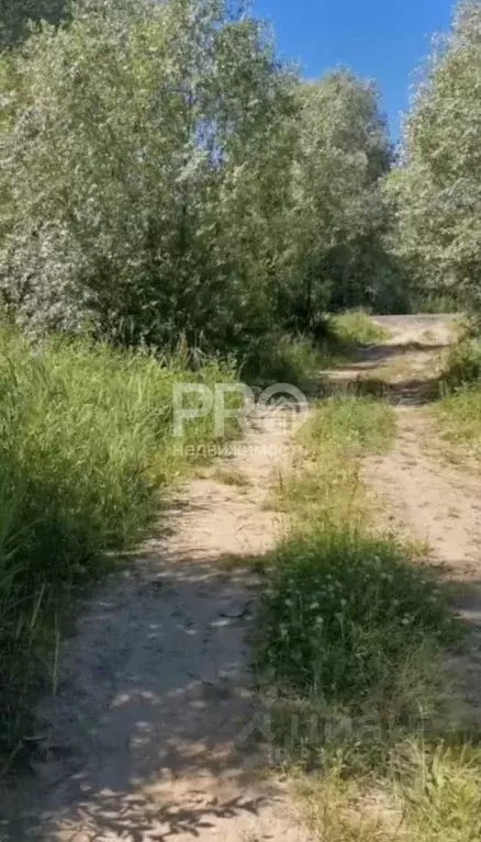 Участок в Ярославская область, Ярославль ул. 1-я Краснохолмская (5.6 ... - Фото 2