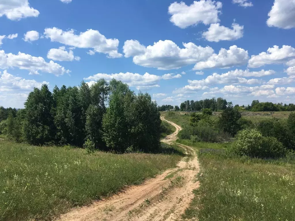 Участок в Нижегородская область, Кстово  (111.0 сот.) - Фото 0