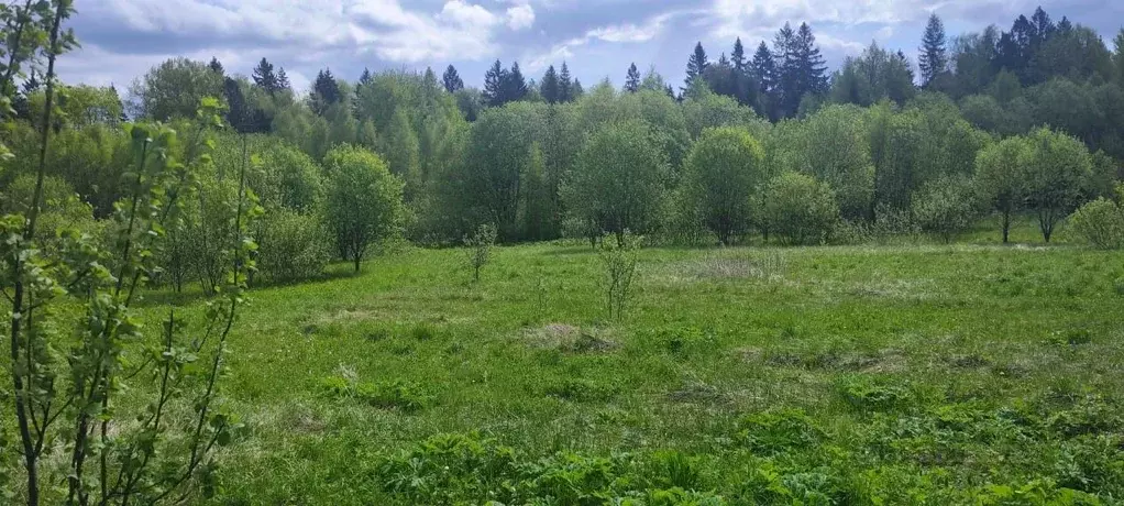 Участок в Московская область, Солнечногорск городской округ, д. Мостки ... - Фото 0