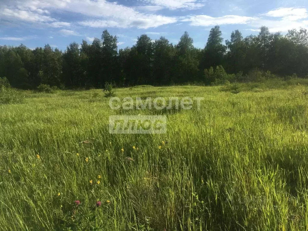 Участок в Тюменская область, Ялуторовский район, Березка СНТ  (20.0 ... - Фото 0