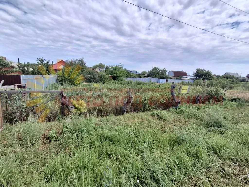 Участок в Краснодарский край, Ейский район, Александровское с/пос, с. ... - Фото 1