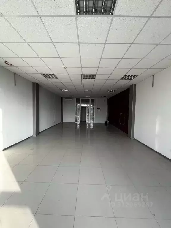 Торговая площадь в Краснодарский край, Новороссийск Цемдолина тер., ... - Фото 0