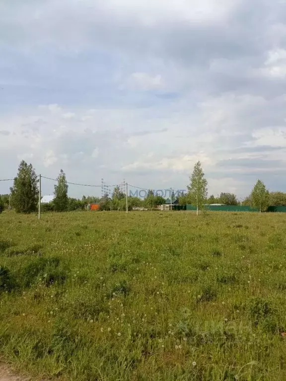 Участок в Нижегородская область, Богородский муниципальный округ, с. ... - Фото 2