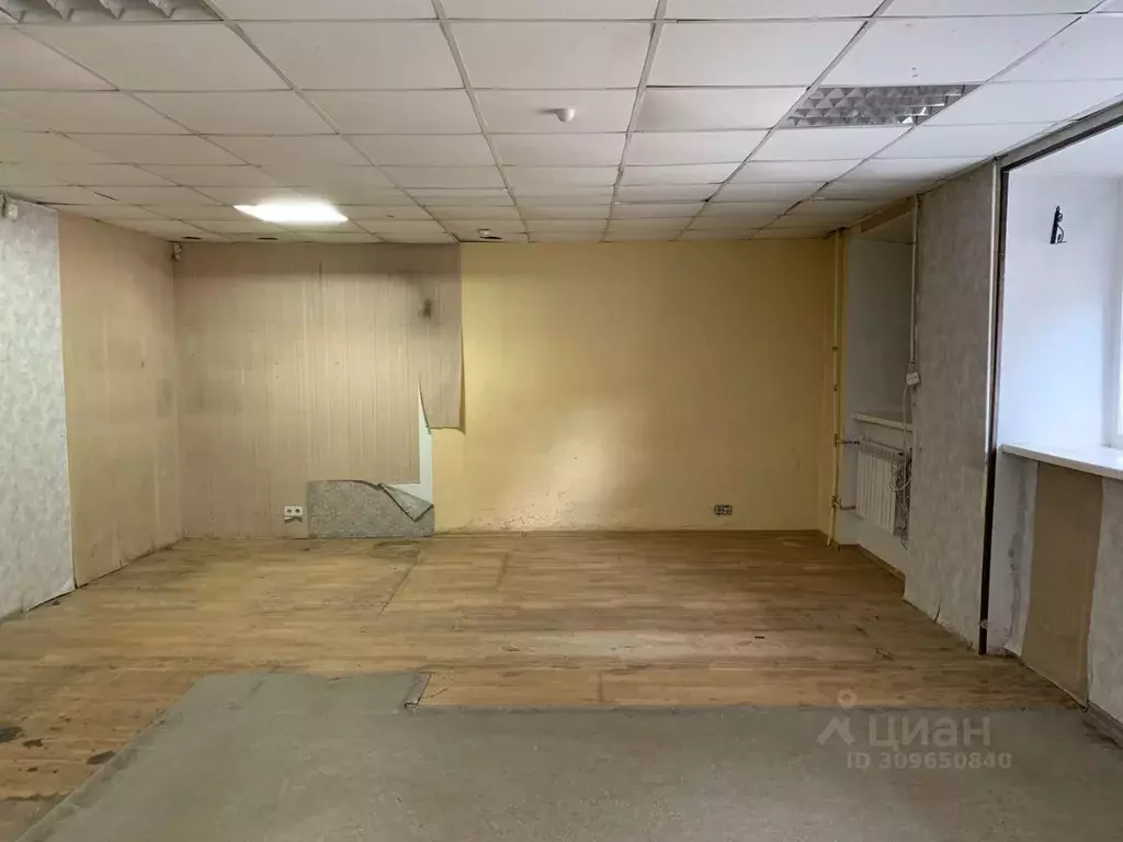 Помещение свободного назначения в Новосибирская область, Новосибирск ... - Фото 2