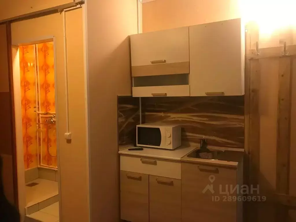 Студия Московская область, Коломна городской округ, с. Лукерьино 77 ... - Фото 1