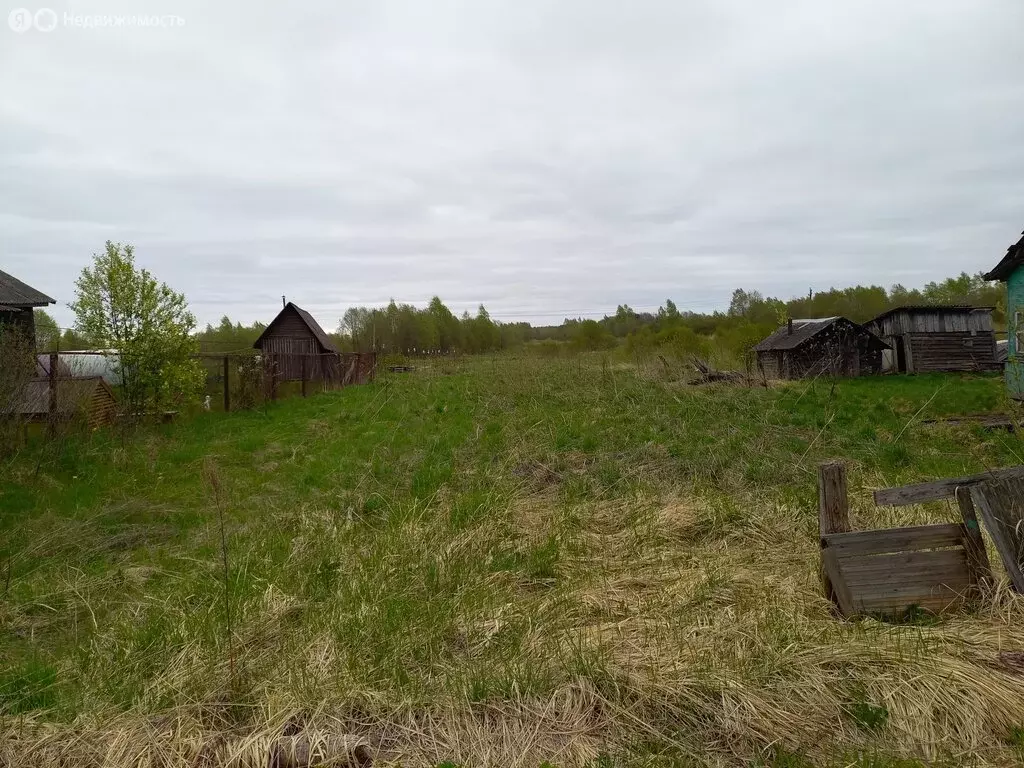 Участок в деревня Пача, Центральная улица, 87 (18 м) - Фото 2