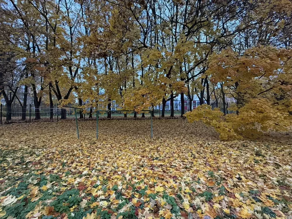 1-к кв. Московская область, Можайск ул. 20 Января, 13 (32.0 м) - Фото 2