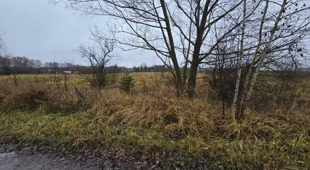 Участок в Московская область, Ступино городской округ, д. Кочкорево ... - Фото 1