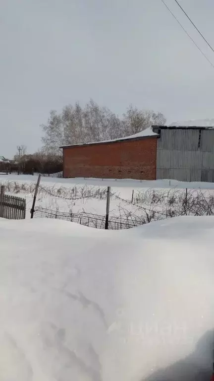 Производственное помещение в Омская область, Азовский Немецкий ... - Фото 2