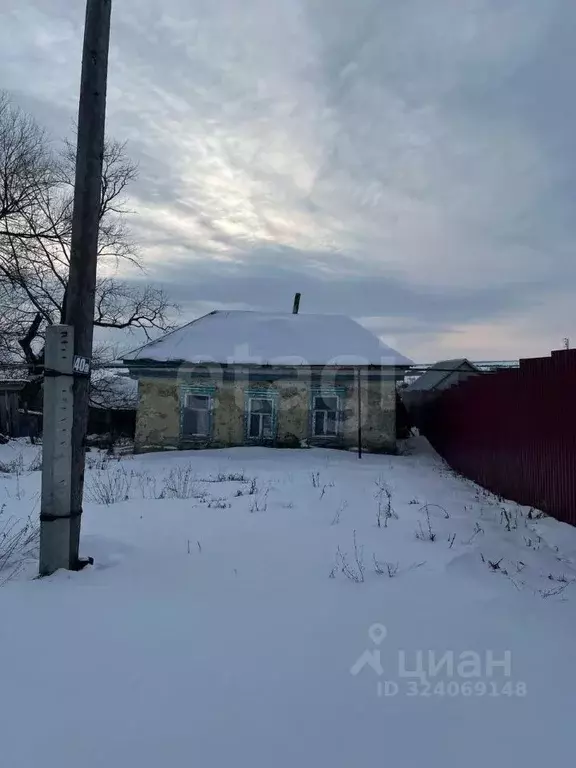 Участок в Мордовия, Ромодановский район, д. Лыковщина Республиканская ... - Фото 1