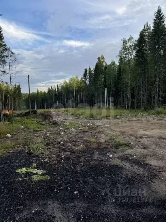 Участок в Коми, Сыктывкар Усадебная ул. (15.5 сот.) - Фото 1