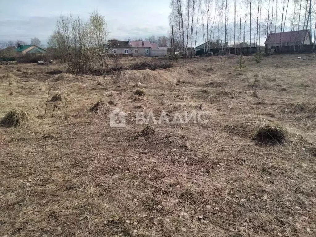 Участок в Рязанская область, Касимовский муниципальный округ, с. ... - Фото 1