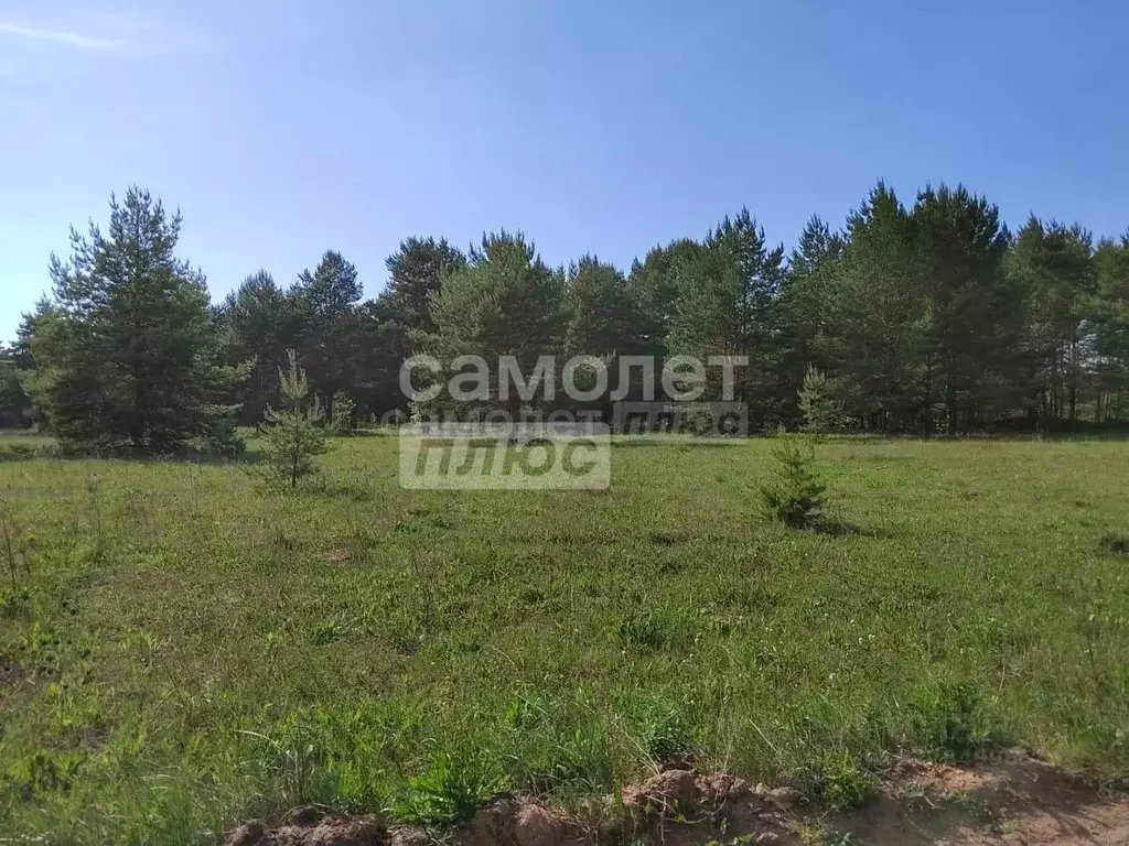 Участок в Калужская область, Дзержинский муниципальный округ, Дворцы ... - Фото 1