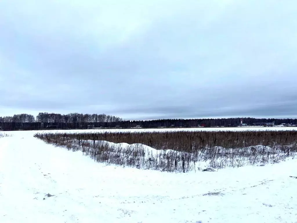 Участок в Московская область, Бронницы Сиреневая ул. (7.66 сот.) - Фото 2