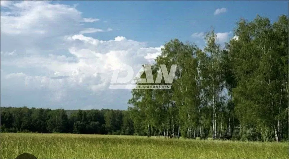 Участок в Челябинская область, Красноармейский муниципальный округ, ... - Фото 2