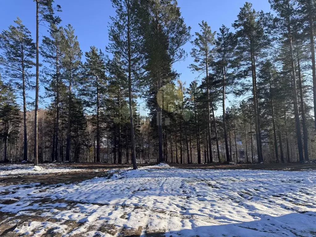 Участок в Иркутская область, Иркутский муниципальный округ, д. ... - Фото 2