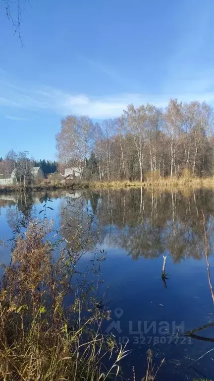 Участок в Московская область, Солнечногорск городской округ, д. ... - Фото 1