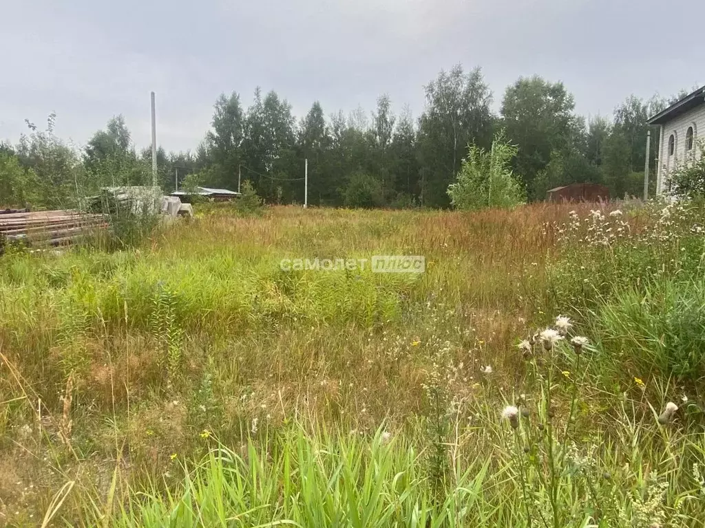 Участок в Московская область, Павлово-Посадский городской округ, д. ... - Фото 1