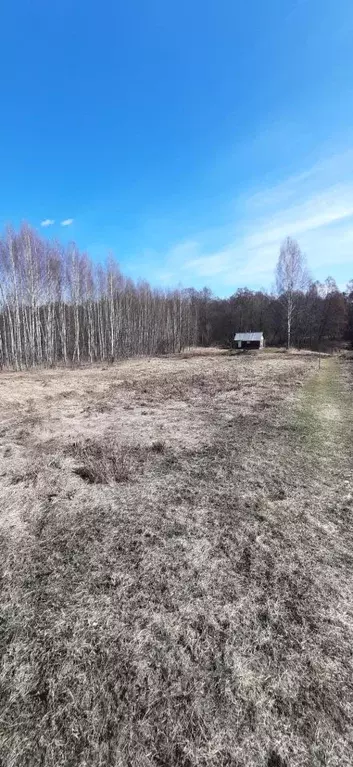 Участок в Нижегородская область, Бор городской округ, с. Городищи  ... - Фото 1