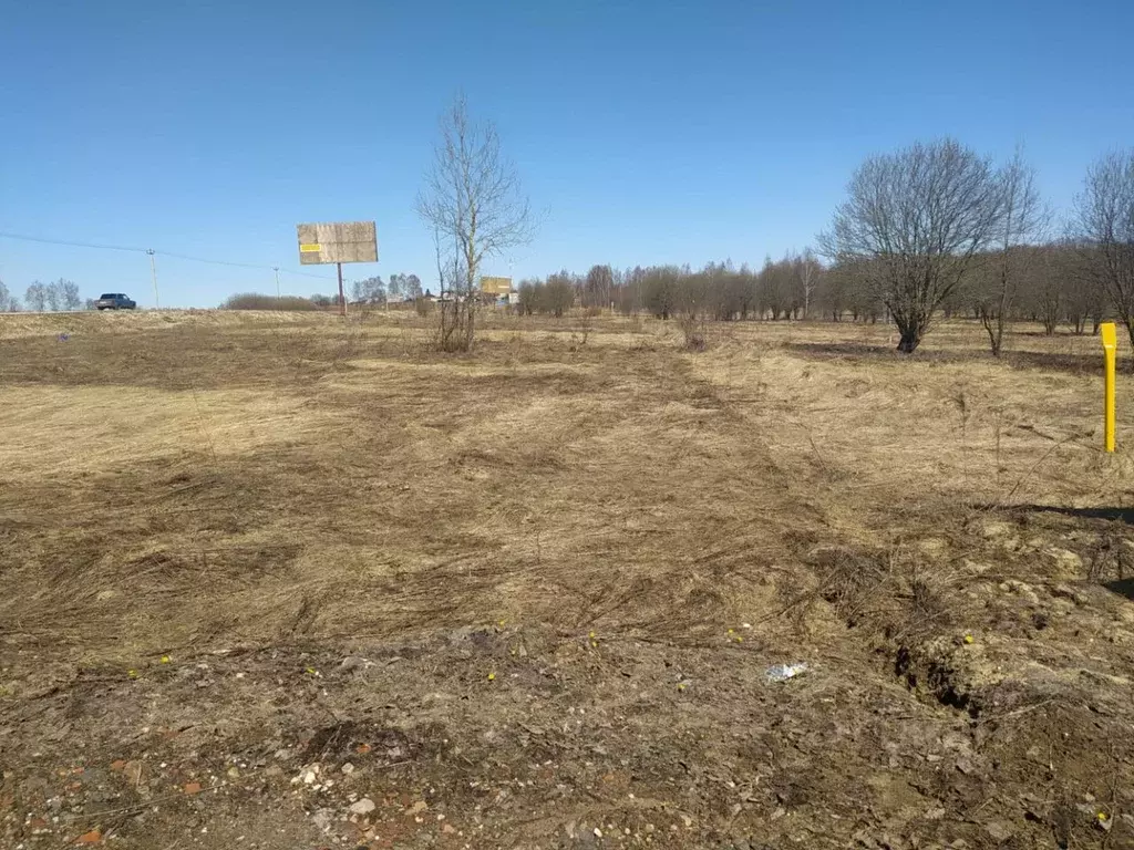 Погода в лизуново александровского владимирской. Деревня Лизуново ул Рябиновая.