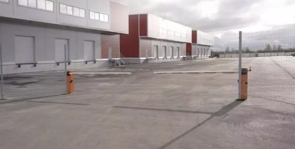 Склад в Нижегородская область, Нижний Новгород с. Федяково, ул. ... - Фото 2